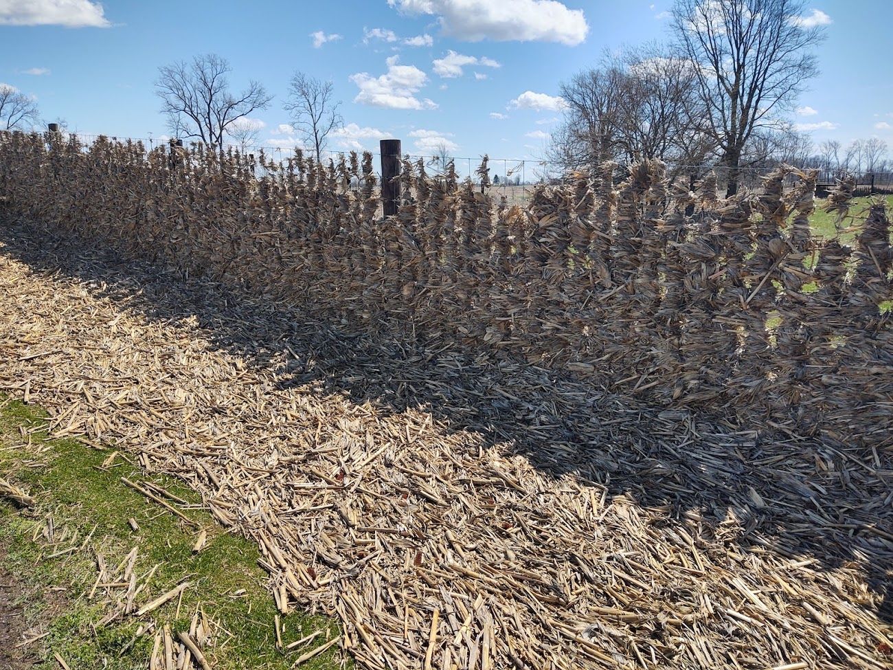 Severe Weather Outbreak April 8th 2020